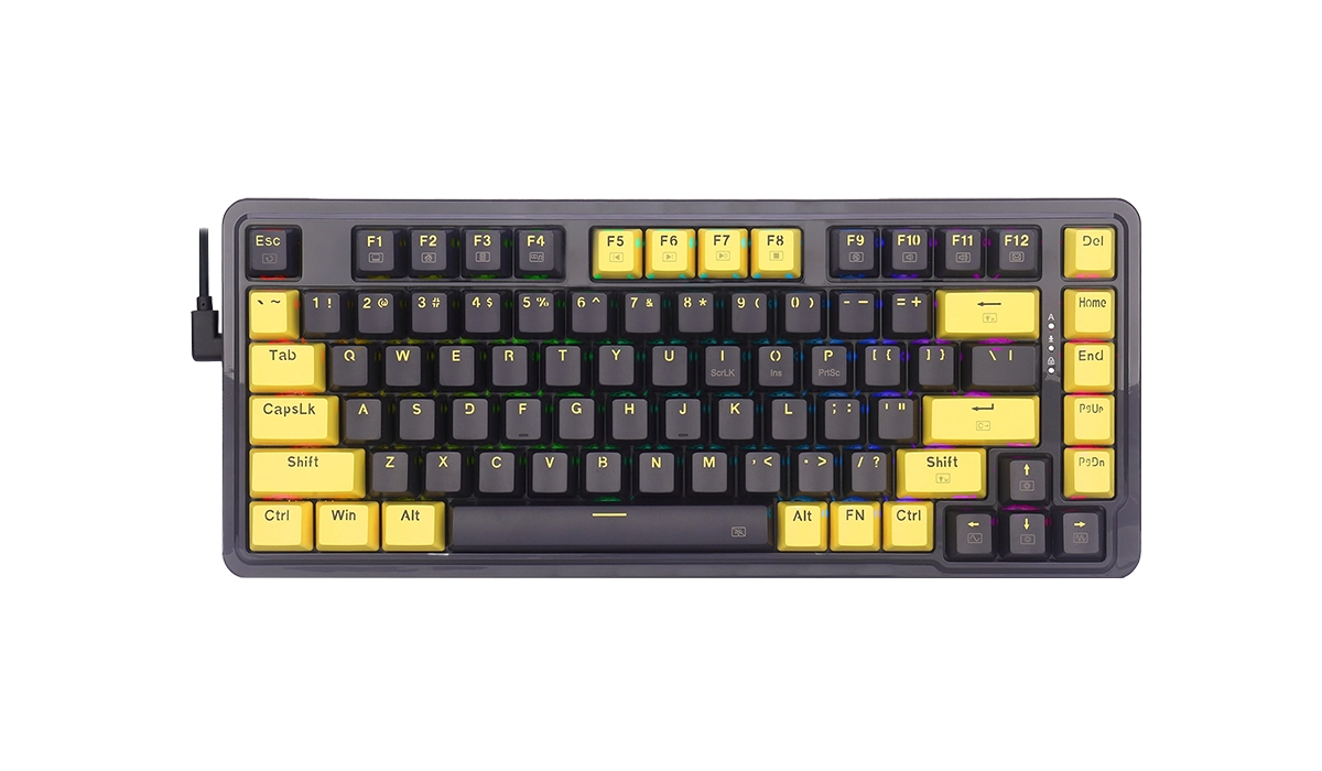 K649YP-RGB ELF