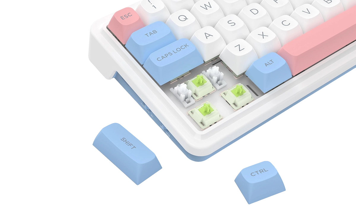 Autorski Mint Mambo Switch to płynność i precyzja