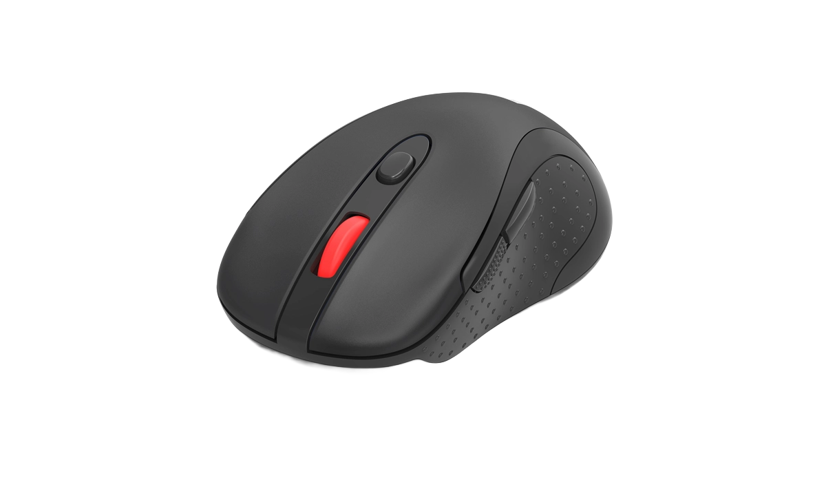 Budowa i ergonomia